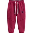 thumbnail image 3 of Pantalones deportivos de algodón para niños y niñas, pantalones deportivos con diseño de dinosaurio de dibujos animados para niños de 2 a 7 años, 3 of 5