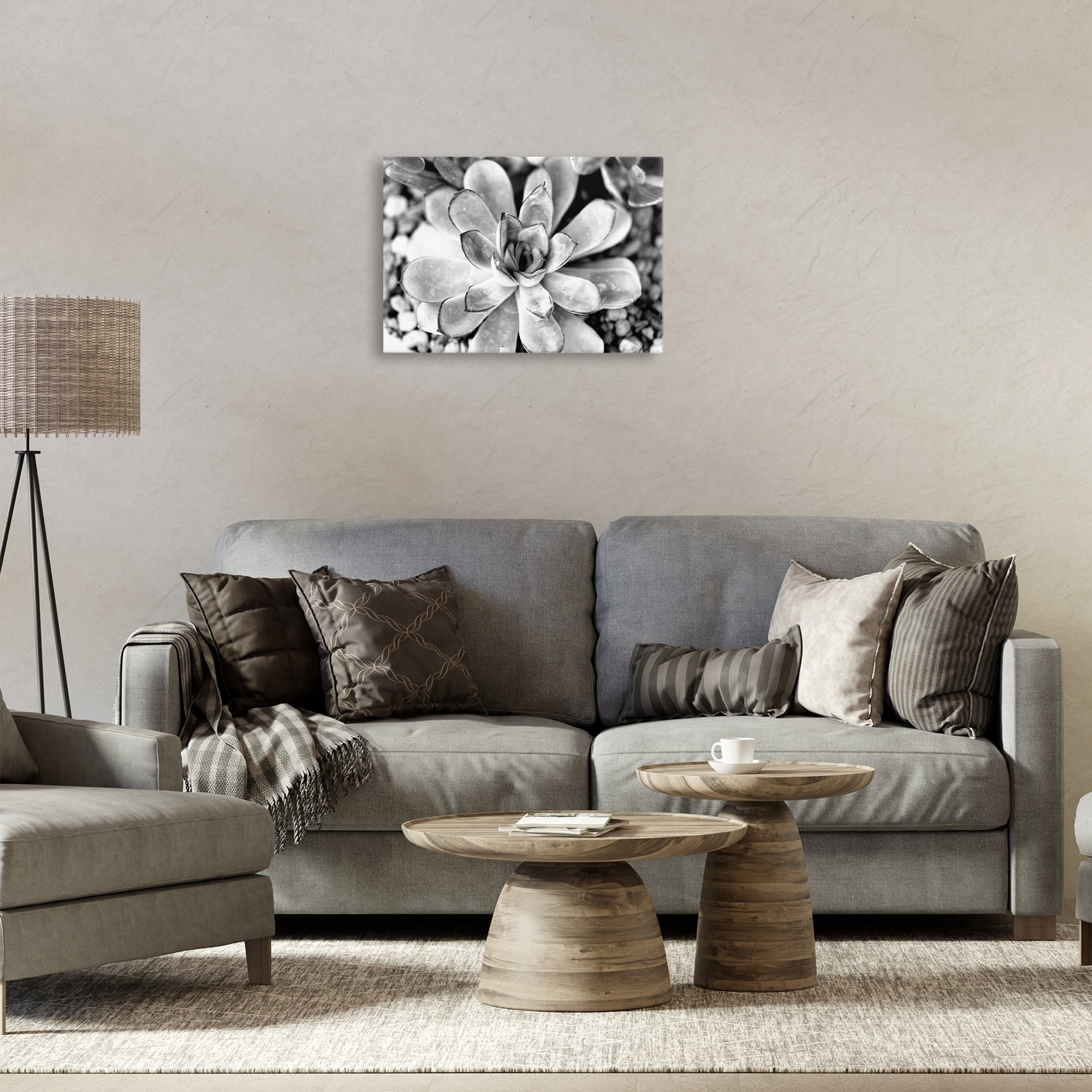 Stupell Industries Monochrome Succulent Leaves Botanical & Floral Photography Gallery Wrapped Canvas Art Print Wall Art, 24 x 16