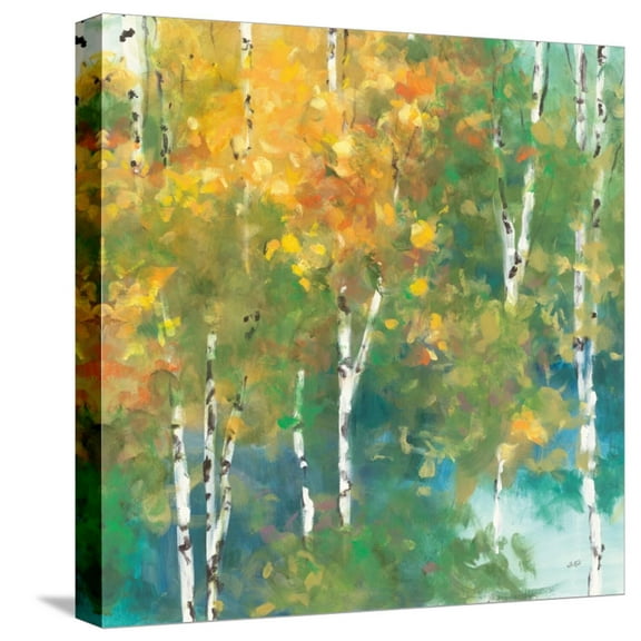 Art.com Confetti I Stretched Canvas Print Wall Art by Julia Purinton, 16" x 16"