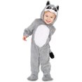thumbnail image 1 of Costume De Raton Laveur - Enfant, 1 of 1