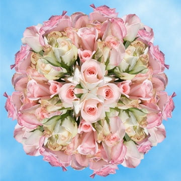GlobalRose 150 Fresh Cut Pastel Roses - Light Orlando Roses - Fresh Flowers Wholesale Express (Best Delivery In Orlando)