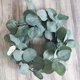 thumbnail image 4 of Tallos de hojas de eucalipto ZHAOCHENG 10 piezas de eucalipto artificial verde gris, 4 of 5
