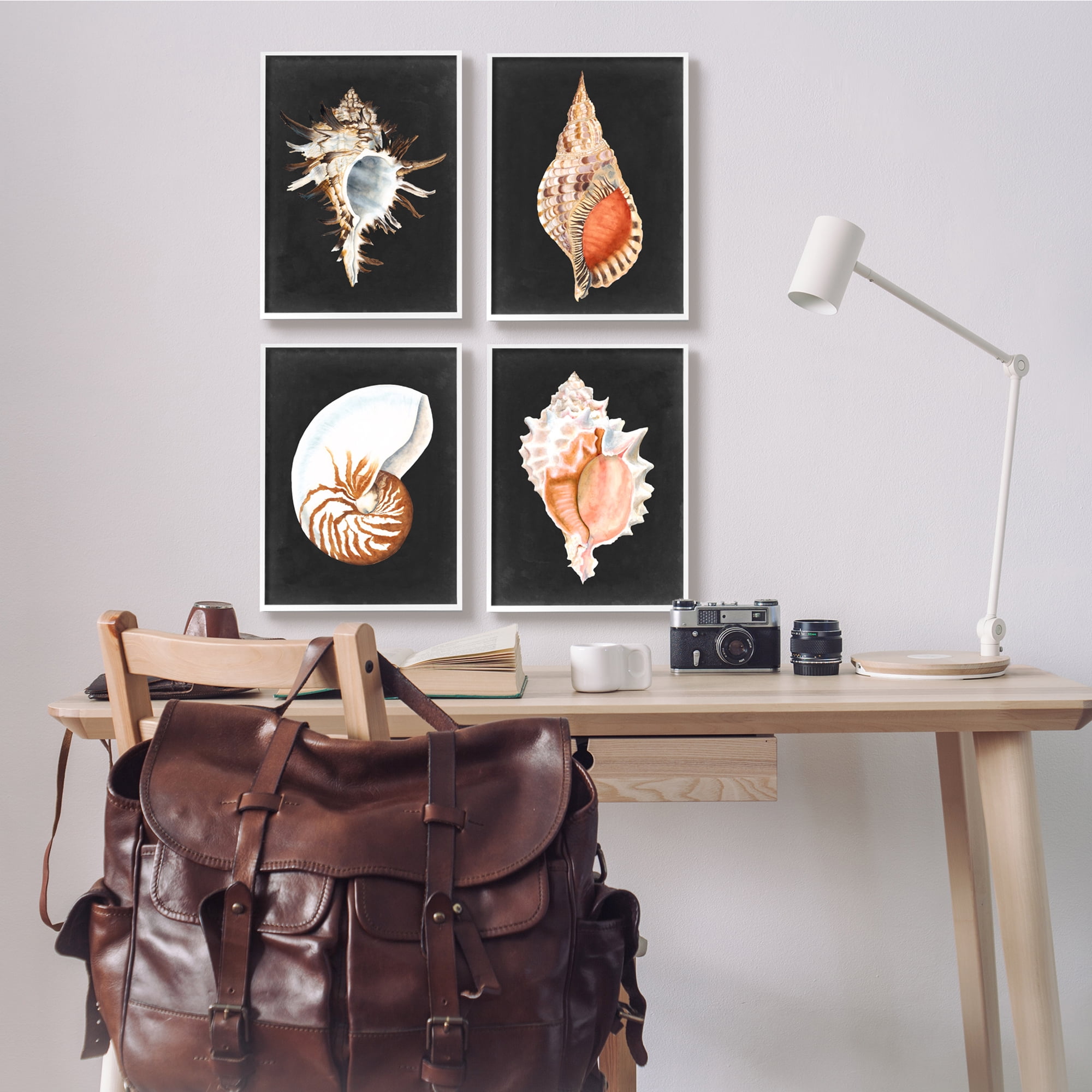 Stupell Industries Sea Shell Clam Conch Collection Realistic Illustration ,11 x 14, Design by Michael Willett