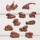 thumbnail image 5 of Gwong Juguete 11 unids / set dinosaurio fósil modelo alta simulación pintada a mano carnotaurus dinosaurio cráneo fósil figurilla para niños Gwong 30011293, 5 of 6