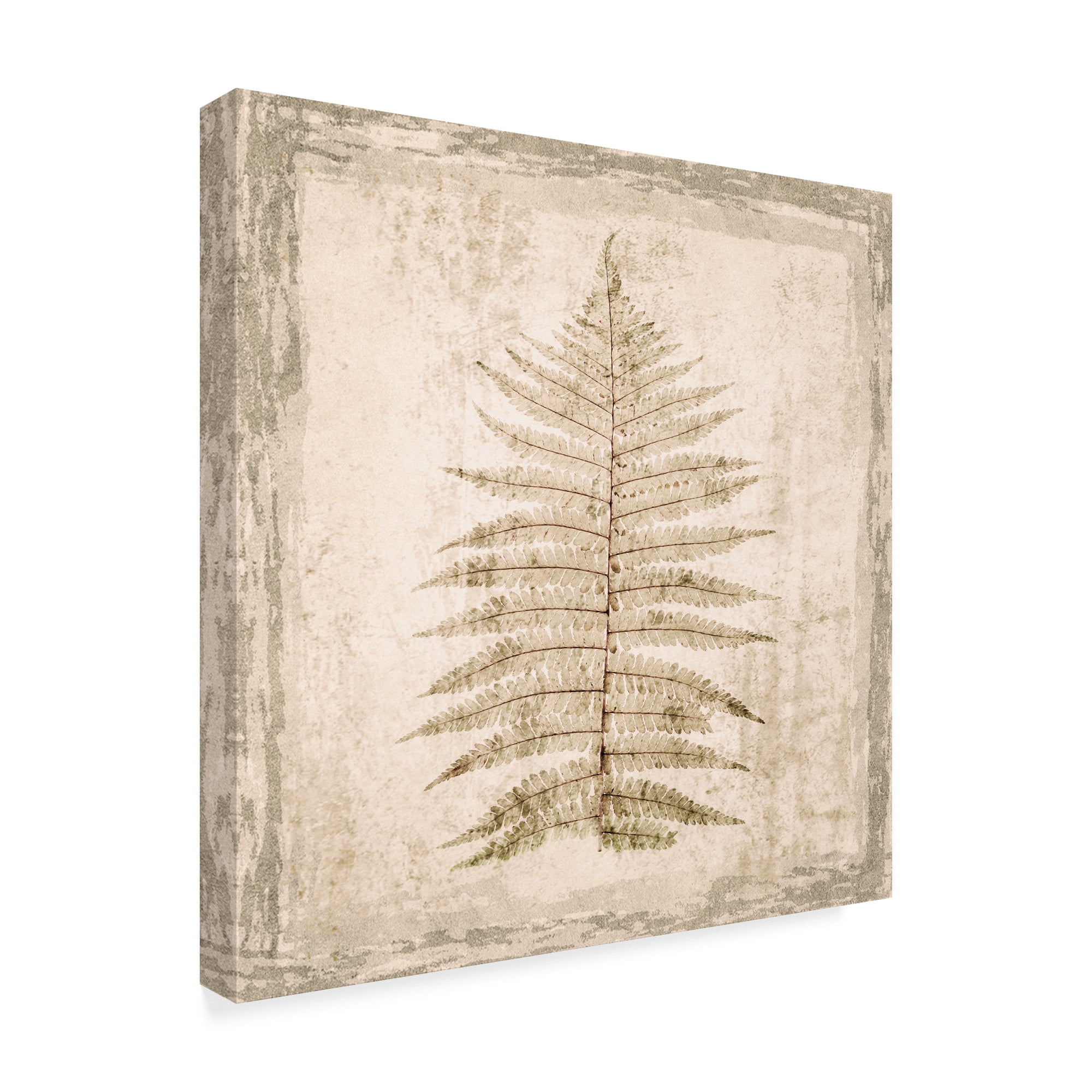 Trademark Fine Art 'Stone Leaf I' Canvas Art by Irena Orlov