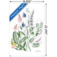 thumbnail image 3 of Botanical Collection - Wild Flowers Wall Poster, 14.725" x 22.375", 3 of 4