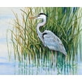 thumbnail image 2 of OToole, Tim 23x20 White Modern Wood Framed Museum Art Print Titled - Heron in the Marsh II, 2 of 4