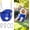 Blue, variant on High Back Full Bucket,Toddler Swing with Coated Chains & Triangle Dip Pinch Protection for Safety,Baby Swing Outdoor with Locking Buckles,Toddler Bucket Swing for Backyard,Playground,Green