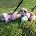 thumbnail image 2 of Rabbit Harness Comfortable Adjustable Traction Tool Ferret Rats Hamster Soft Mesh Harness Leash Vest Set Pet Supplies, 2 of 3
