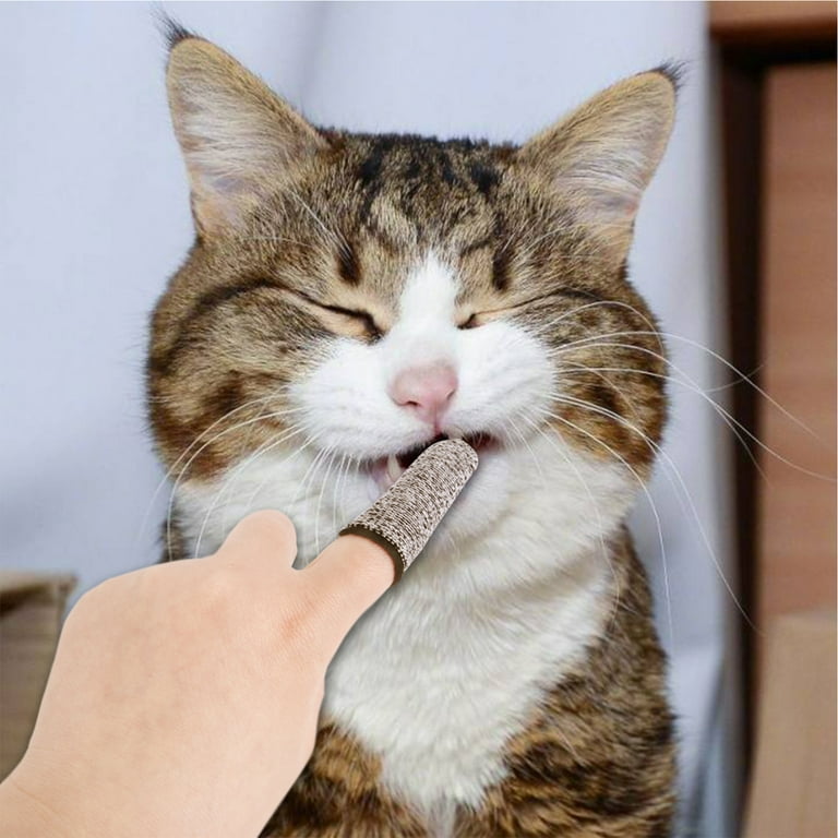 Cat hotsell toothbrush walmart