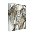 thumbnail image 3 of Trademark Fine Art Jennifer Paxton Parker Horse Abstraction I Canvas Wall Art - 35x47, 3 of 5