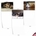 thumbnail image 5 of 10 Assorted All Occasion Blank Note Cards with Envelopes (4 x 5.12 Inch) - CAT YOU SEE ME NOW M1543BN, 5 of 6