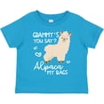 thumbnail image 3 of Inktastic Grammy's You Say Alpaca My Bags Boys or Girls Toddler T-Shirt, 3 of 5