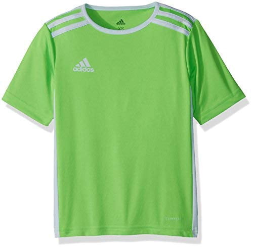 adidas youth entrada 18 jersey