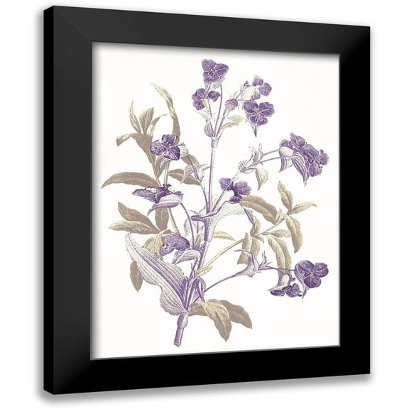 Grey, Jace 12x14 Black Modern Framed Museum Art Print Titled - Lavender Flowers