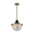 thumbnail image 4 of 60/7060-Nuvo Lighting-Faro-1 Light Large Pendant in Transitional Style-12.63 Inches Wide by 14.13 Inches High-Burnished Brass/Black Finish, 4 of 5