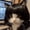 Black Qi Bangs, variant on Pet Wig Dog Wig Pet Supplies Halloween Pet Accessories Curly Hair Straight Hair Cat Wig