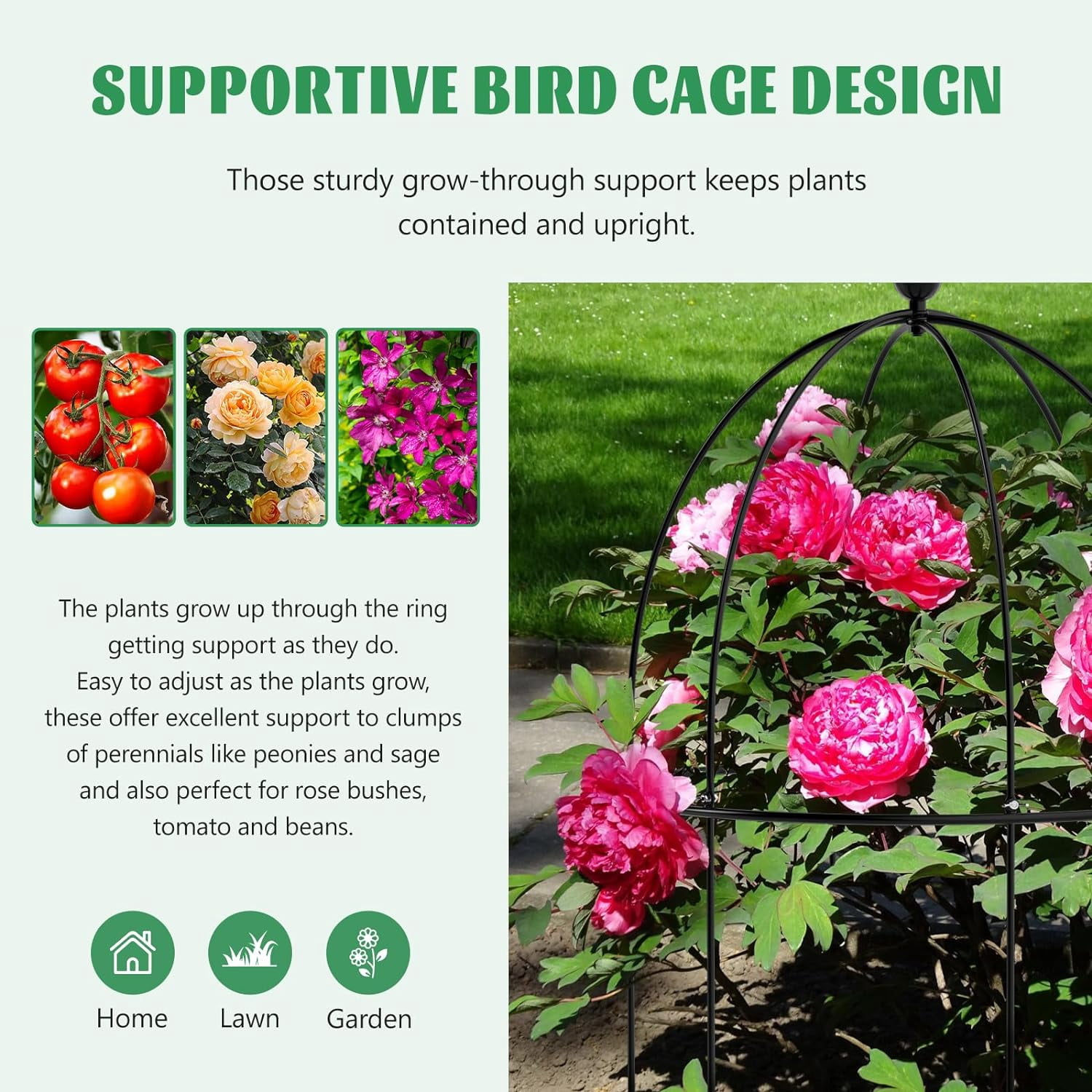 Lilypelle Garden Trellis for Climbing Plants Outdoor, Tomato Cage Metal Obelisk Trellis Plant Trellis for Potted Plant, Flower Trellises Plant Cages Peony Cages Plant Support (Black, 3 Pack)