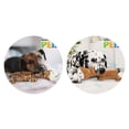 thumbnail image 3 of Paquete Nupec senior 15 kg + 1 juguete jirafa o caballo squeaker con sonido Fancy pets, 3 of 4