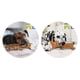 thumbnail image 3 of Paquete Nupec senior 15 kg + 1 juguete jirafa o caballo squeaker con sonido Fancy pets, 3 of 4