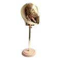 thumbnail image 2 of Cabeza de estilo de maniquí, sombrero de peluca, soporte de exhibición, parte inferior de madera para exhibir gorras, bufandas, auriculares, gafas,, 2 of 9