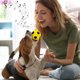 thumbnail image 4 of Juguete masticable para perros con forma de balón de fútbol, juguete chirriante para perros, juguete molar interactivo para mascotas, 4 of 8