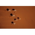 thumbnail image 2 of Planète Terre, la Collection Complète de BBC [Boîte Blu-Ray], 2 of 4