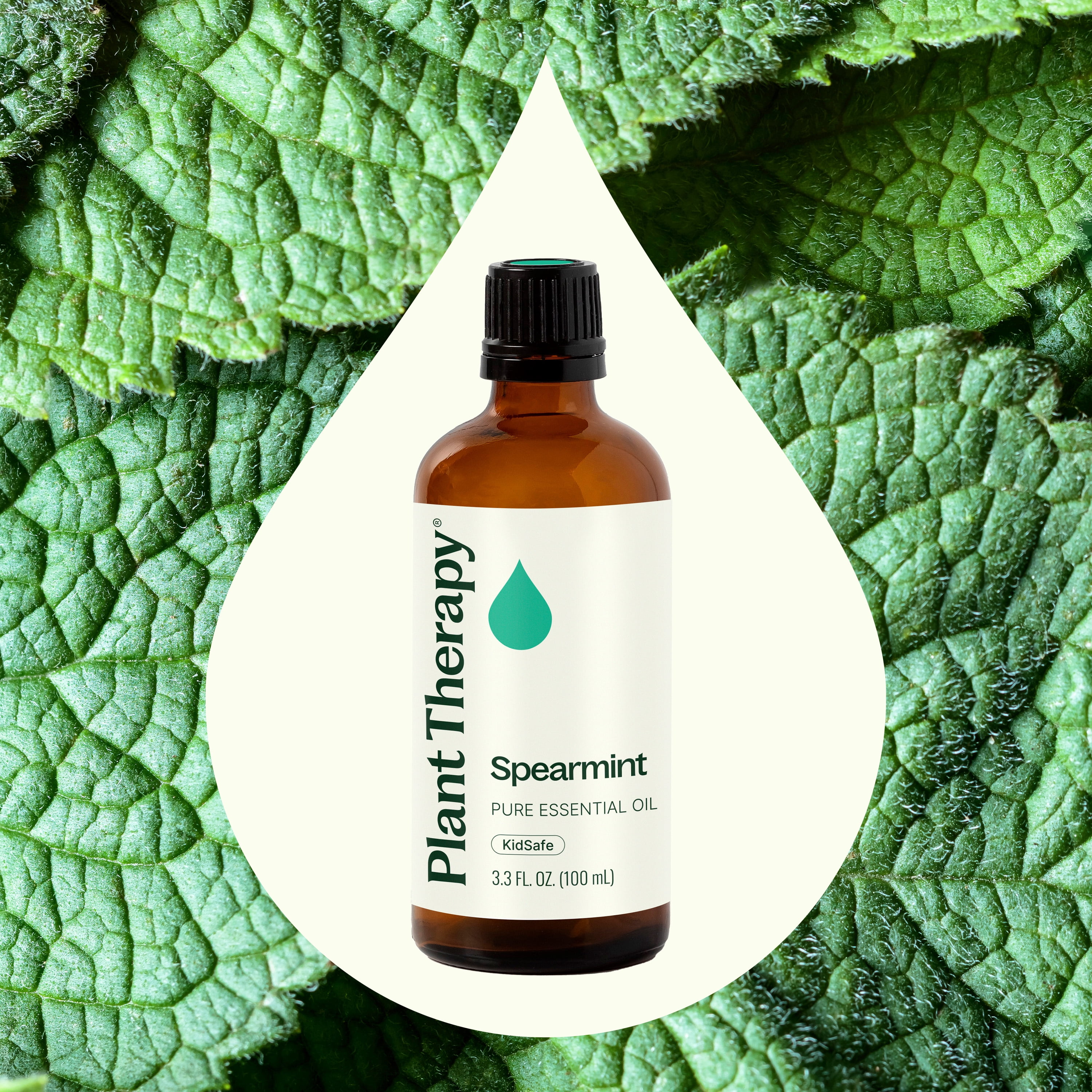 Plant Therapy Spearmint Essential Oil 100 mL (3.3 oz) 100% Pure, Undiluted, Therapeutic Grade