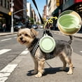 thumbnail image 5 of Dog Bowl Pet Collapsible Bowls, Portable Pet Feeding Watering Dish for Walking Parking Traveling with 2 Carabiners (Small, Blue), 5 of 10