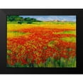 thumbnail image 2 of Camargo, Jesus P. 18x15 Black Modern Framed Museum Art Print Titled - Amapolas IV, 2 of 5