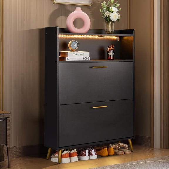 UBesGoo 2 Drawer Shoe Cabinet with 1 Open Storage and 15 Adjustable LED Lights, 24 Pairs of Shoes, Black