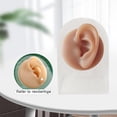thumbnail image 4 of Human Models Practical Soft Feelings Silicone Modeling Delicate Texture Bubbles for Exercises Demonstration Tool - left ear with stand, 4 of 8