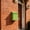 Green, variant on Tuckneck Wall Mount Mailbox, Metal Outdoor Mail Box for House, 11.4x2.6x8.7 Inch Wall Hanging Mailbox with Drop Slot, Green, Secure Porch Mail Holder