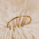 thumbnail image 4 of Anillo Delgado Para Dama Acero Inoxidable Regalos Joyería Xtellar dorado, 4 of 4