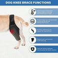 thumbnail image 3 of Dog Knee Brace, Dog Injuries Leg Brace For Luxating Patella Better Recovery, Adjustable Rear Leg Braces For Dogs, 3 of 5