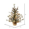 thumbnail image 2 of Vickerman 24" Dakota Pine Artificial Christmas Tree, Warm White Dura-lit LED Lights, 2 of 4