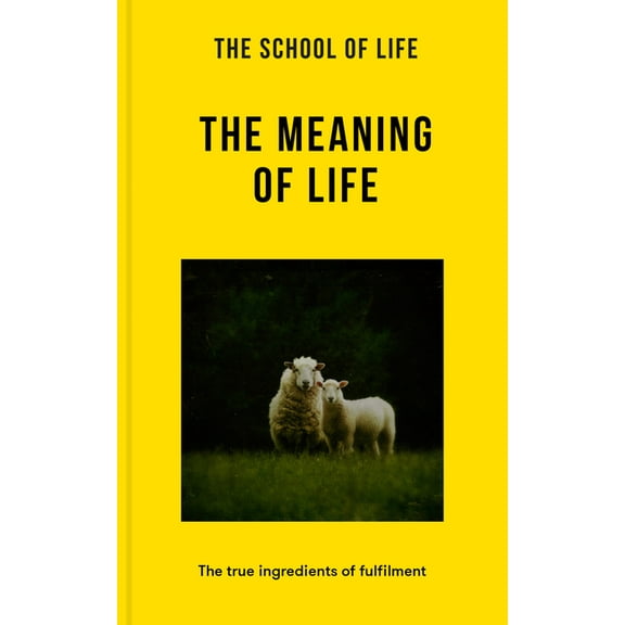 The Meaning of Life: The True Ingredients of Fulfilment, (Paperback)