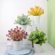 thumbnail image 2 of Plantas artificiales de interior, miniplantas artificiales en maceta, pequeñas plantas falsas para jardín, césped, balcón, oficina, decoración del hogar., 2 of 8