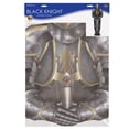 thumbnail image 4 of Beistle Jointed Paper Suit of Armor Knight Cut Out Medieval Theme Party Wall Decoration Castle Photo Prop Background, 4 of 6