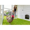 thumbnail image 5 of Zylina Modern Chicken Barn - Chicken Coop, 5 of 9