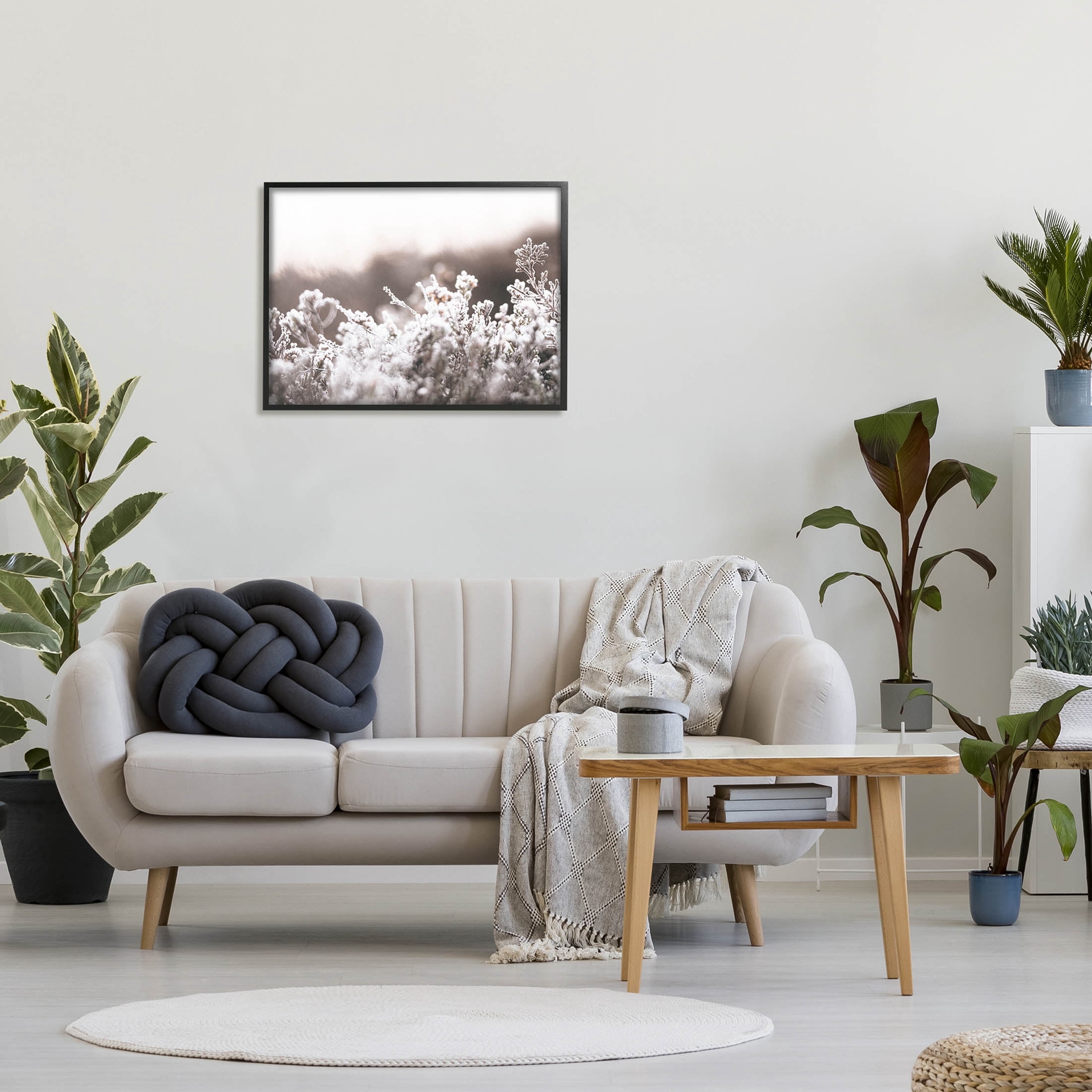 Stupell Industries Dainty Winter Blossoms Botanical Blooms Photograph Black Framed Art Print Wall Art, Design by Leah Straatsma