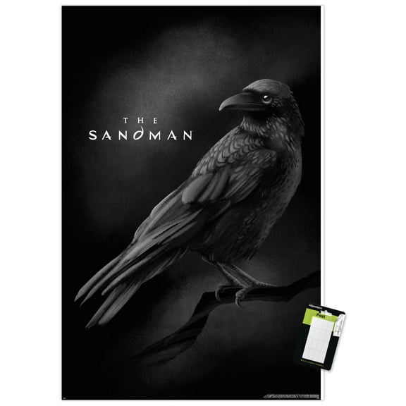 DC The Sandman (2022) - Matthew The Raven Wall Poster, 14.725" x 22.375"