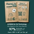 FloraLife Cut Flower Food Nutrition Solution for Fresh Flowers (25 Ct