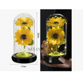 thumbnail image 2 of Girasol Flores Eternas Artificiale Con Luz Color Amarillo, 2 of 4