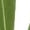 Green#1, variant on Women's Flare Yoga Pants High Waisted Flared Leggings Bootcut Workout Bell Bottoms Leggings Tummy Control