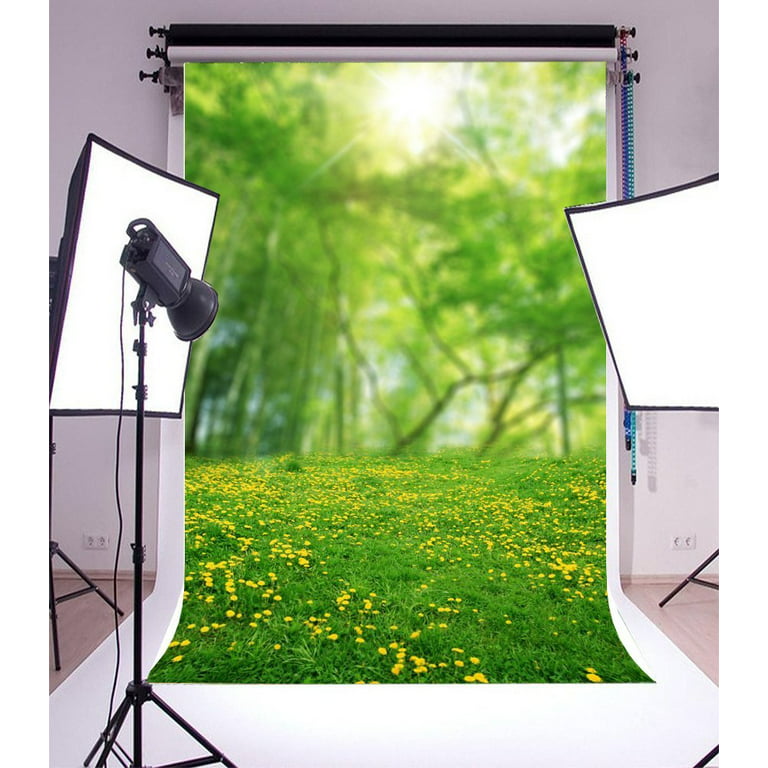 HelloDecor Polyester Fabric 5x7ft Photography Background Dreamy Spring  Outdoor Scenes Sunshine Florets Grass Land Backdrops Personal Portraits  Photographic Shooting Video Studio Props - Walmart.com