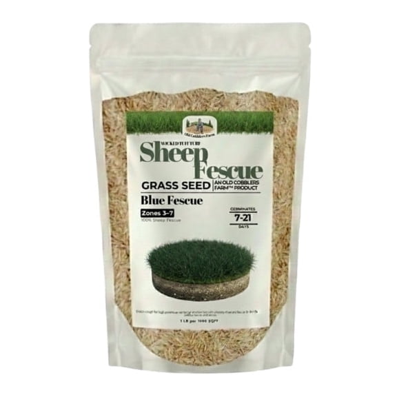 Old Cobblers Farm™ Wicked Tuff Turf Sheep Fescue (Variety Not Stated) - Low-Maintenance, Drought-Tolerant Grass Seed for Meadows, Slopes & Natural Lawns (5 lbs | 10 lbs | 15 lbs | 20 lbs)(20lbs)