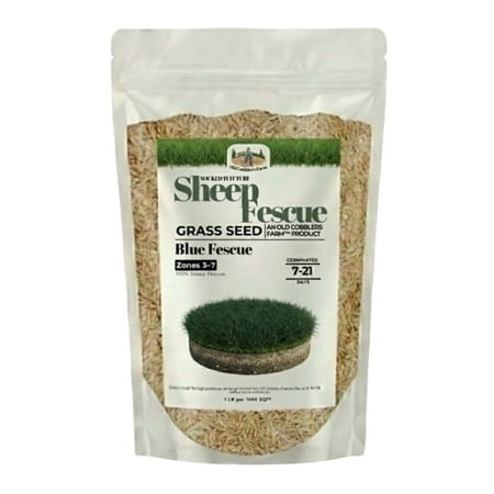 Old Cobblers Farm™ Wicked Tuff Turf Sheep Fescue (Variety Not Stated) - Low-Maintenance Drought-Tolerant Grass Seed for Meadows Slopes & Natural Lawns (5 lbs | 10 lbs | 15 lbs | 20 lbs)(20lbs)
