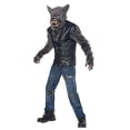 thumbnail image 1 of California Costumes Kid's Full Moon Fury Costume X-Large, 1 of 4