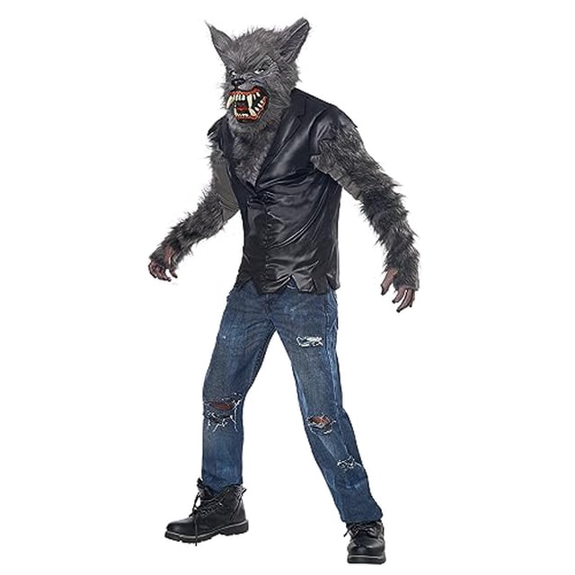 California Costumes Kid's Full Moon Fury Costume X-Large